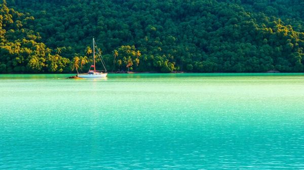 Top forfaits Internet en Nouvelle-Calédonie : découvrez Lagoon